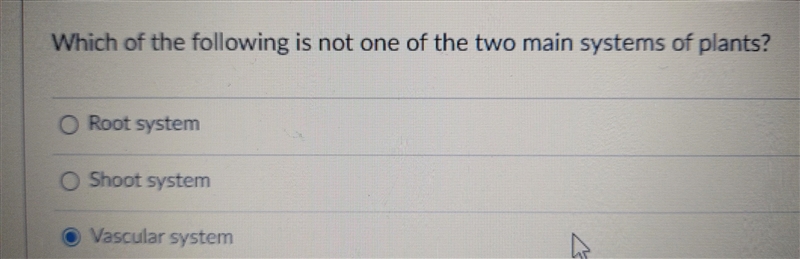 Which of the following is not one of the two main systems of plants?-example-1