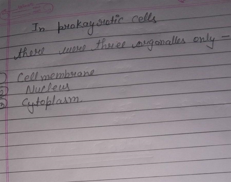 Explain the function of organelles present in a prokaryotic cell.-example-1