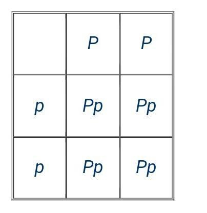 Determine the offspring genotypes: ​-example-1