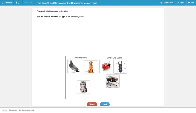 Drag each label to the correct location. Sort the pictures based on the type of life-example-1