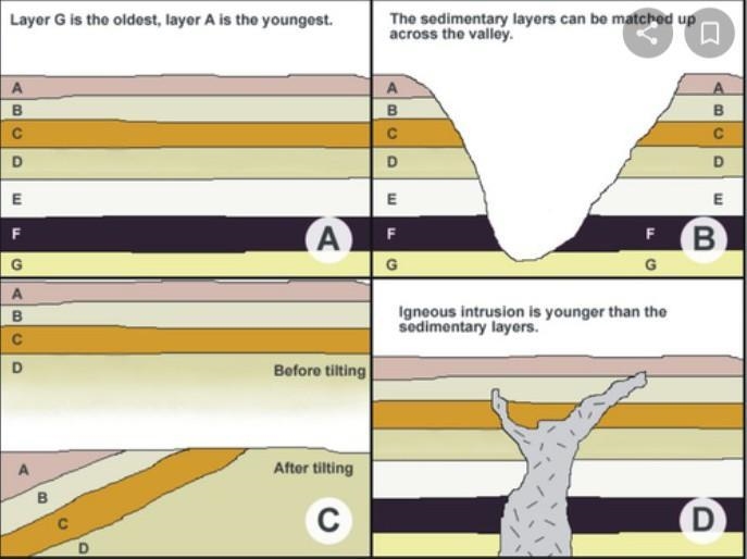 Put the rock layers in order from oldest to youngest-example-1