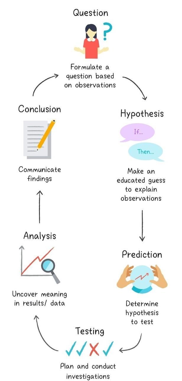 Which step of the scientific method do you perform after you collect d observations-example-1