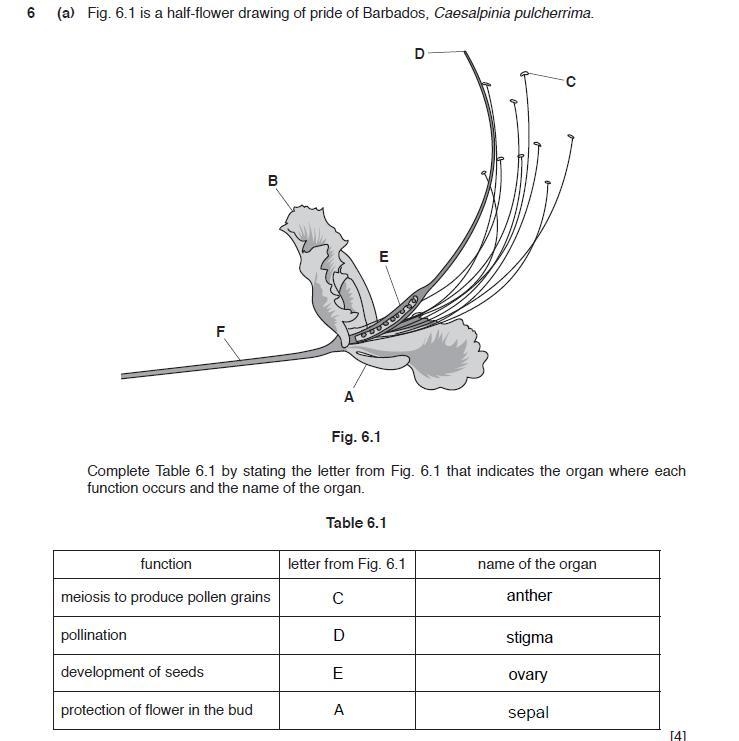 Can someone help me with this question-example-1