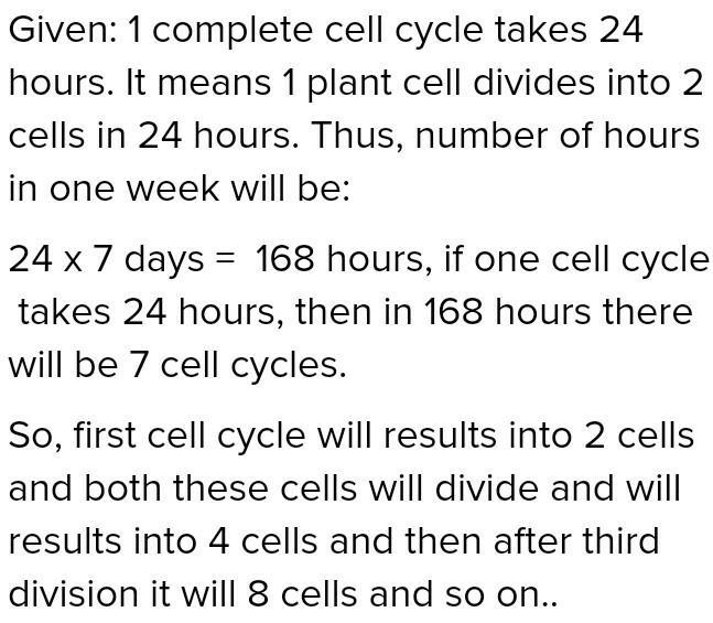 If a plant cell completes the cell cycle in 24 hours, how many plants cells will be-example-1