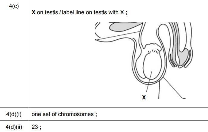 Can someone please help me-example-2