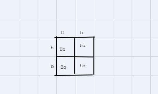 Part 2 - Monohybrid CrossYou discover that one of the Klingons you are studying is-example-1