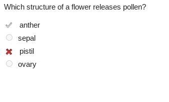 Which structure of a flower releases pollen? anther sepal pistil ovary.-example-1