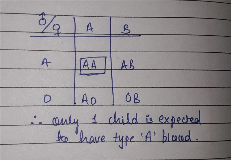 Help please help! Need help-example-1