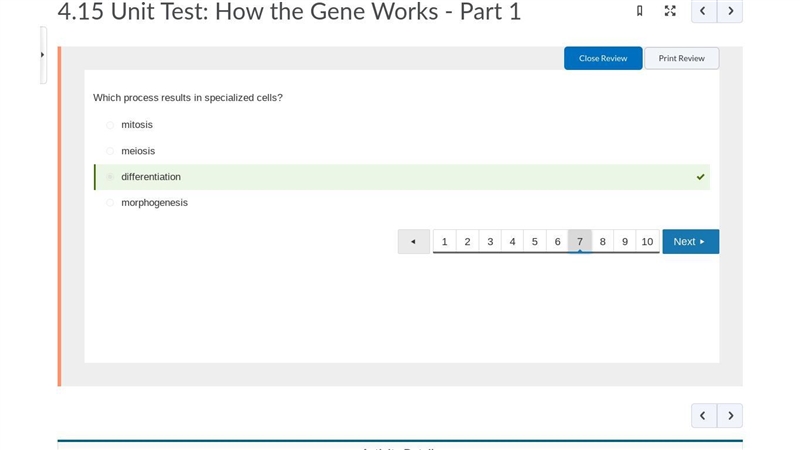 Which process results in specialized cells? mitosis meiosis morphogenesis differentiation-example-1