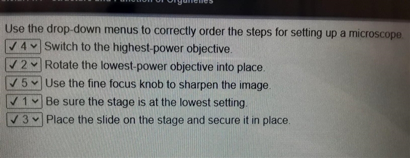 Use the drop-down menus to correctly order the steps for setting up a microscope. Switch-example-1