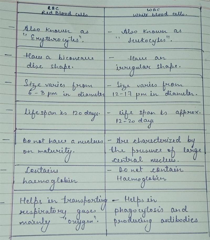 Compare between red blood cells and white blood cells in 2 points.-example-1