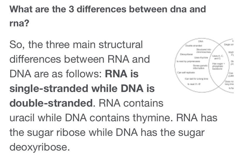 Describe 3 differences between DNA and RNA-example-1