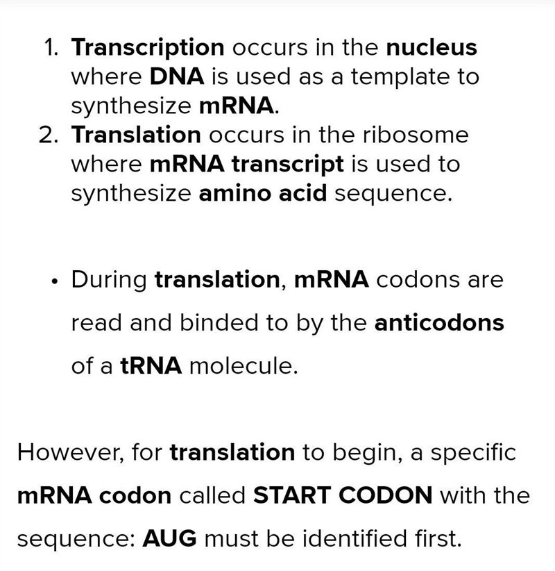 What most occur for protein translation to begin-example-2