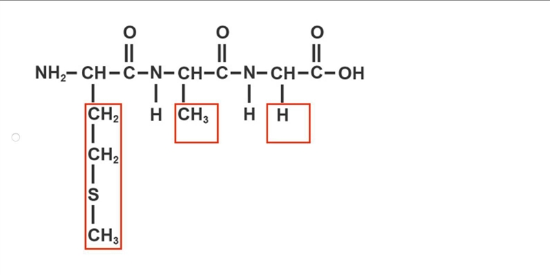 Glycine (C2H5NO2) is added to a growing peptide chain containing methionine (C5H11NO-example-1