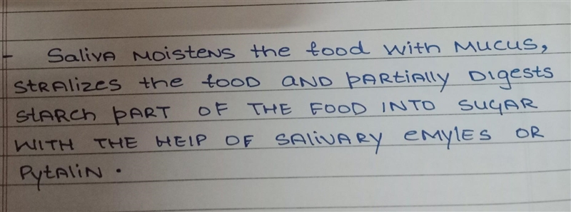 What is the role of saliva? in the digestion of food.​-example-1