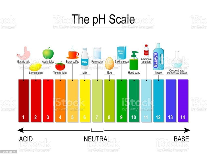 PLEASEE What is a pH scale?, What is a pH indicator?, answer in your own words-example-1