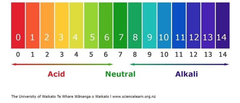 Where would you find a strong acid on the pH scale? A. 1 B. 5 C. 3 D. 13-example-1