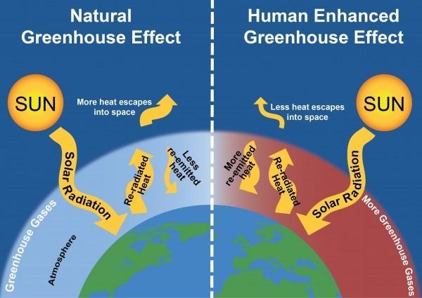 7. What causes greenhouse gasses to absorb heat when gasses like oxygen do not?-example-1