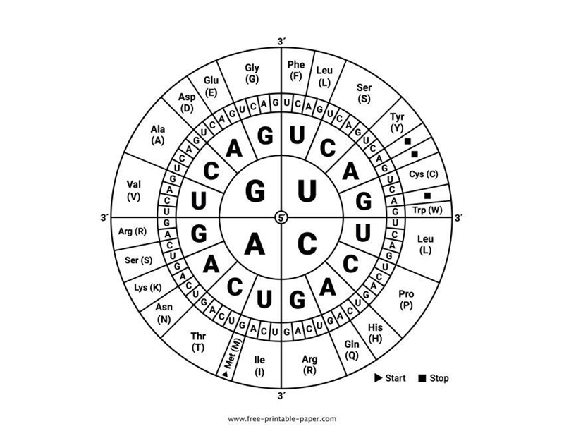 Can someone help with this activity please!-example-1