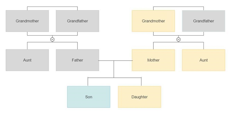 Construct a family pedigree of two unaffected parents with a grandson who suffers-example-1