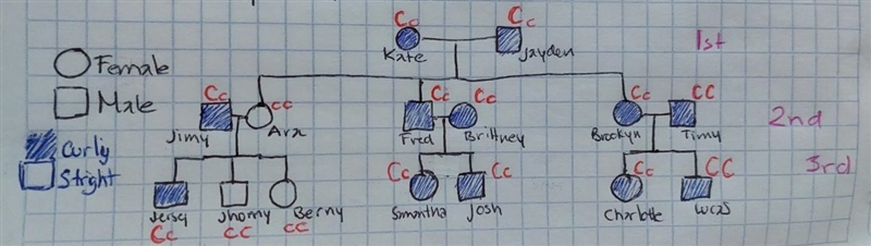 Hello I need help making the pedigree chart and also the punnet squares we can make-example-2