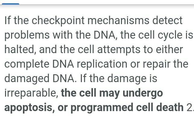 What happens when the cell cycle is completed incorrectly.-example-1