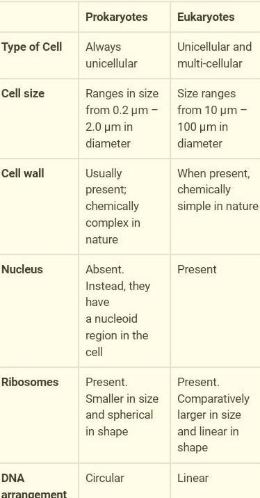 Compared with a eukaryotic cell, a prokaryotic cell:.-example-1