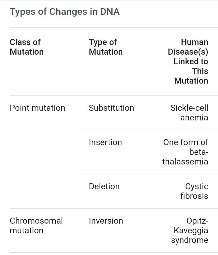 2. What will be the amino acid sequence? 3. Will there likely be effects? 4. What-example-1