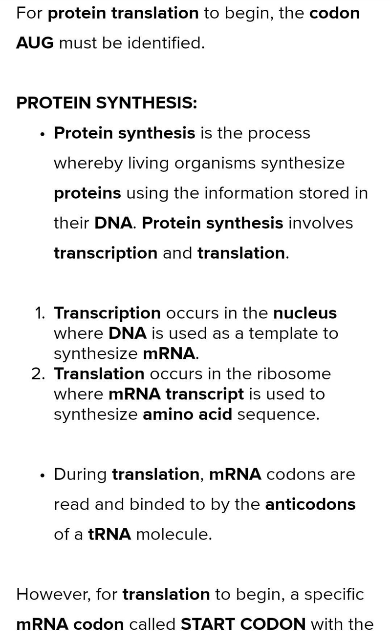 What most occur for protein translation to begin-example-1