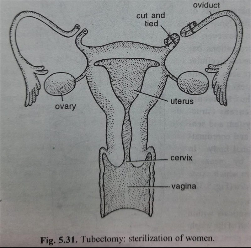 Write all name of this figure.​-example-2