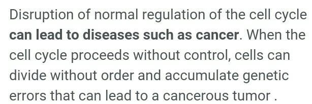 What happens when the cell cycle is completed incorrectly.-example-2
