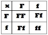 Need help with this in bio lol-example-1