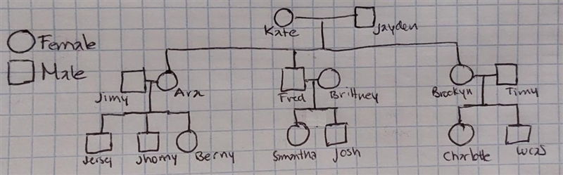 Hello I need help making the pedigree chart and also the punnet squares we can make-example-1