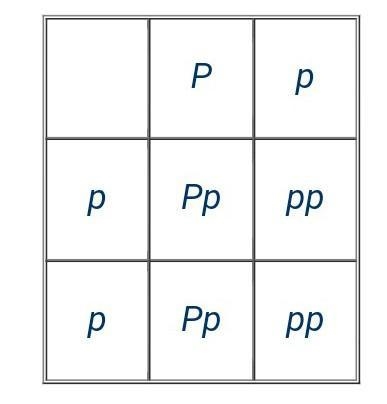 Determine the offspring genotypes: ​-example-2