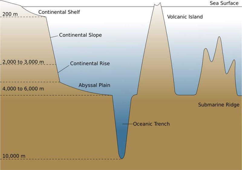 How can you describe deep sea trench-example-1