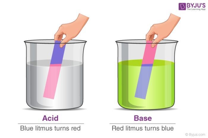 PLEASEE What is a pH scale?, What is a pH indicator?, answer in your own words-example-2