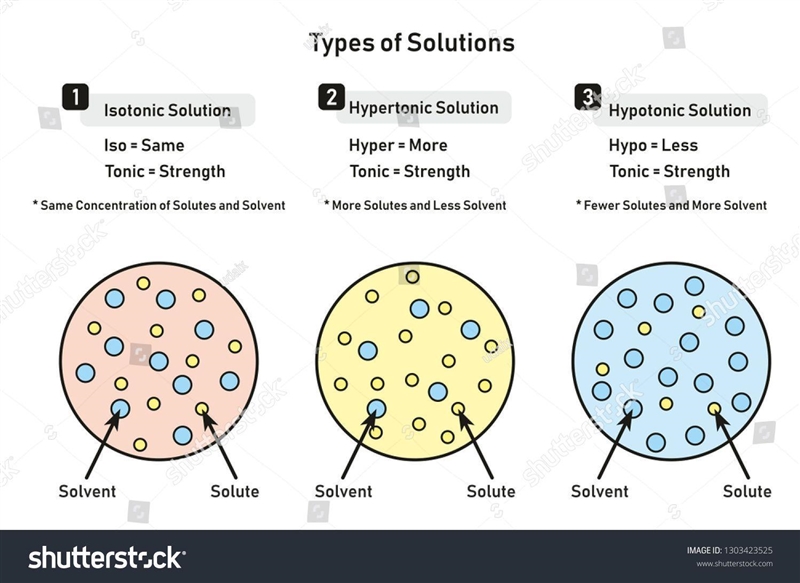 Diagram of hypertonic and hypotonic solution ​-example-2