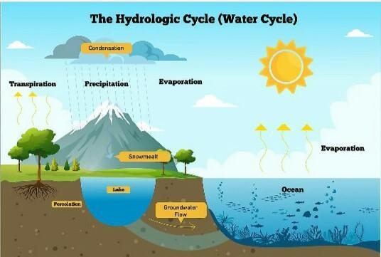 The processes of evaporation, condensation, and precipitation makes up __________.-example-1