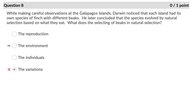 The more closely related two organisms are, the longer they will look alike during-example-1