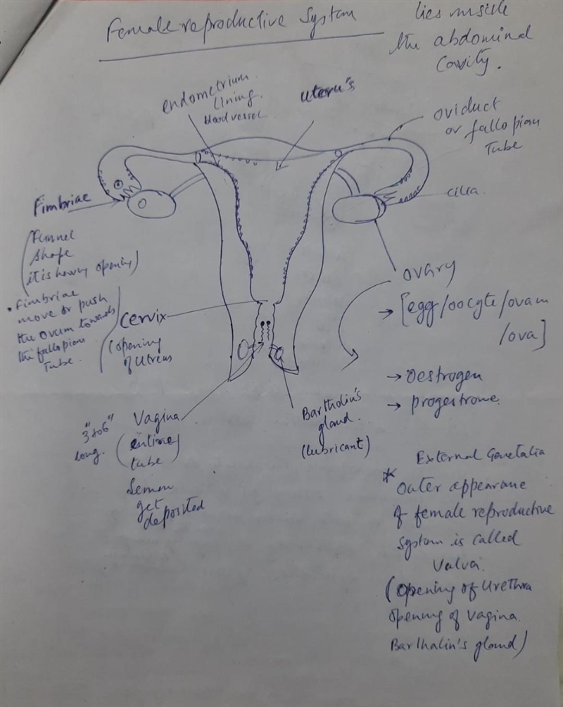 Write all name of this figure.​-example-1