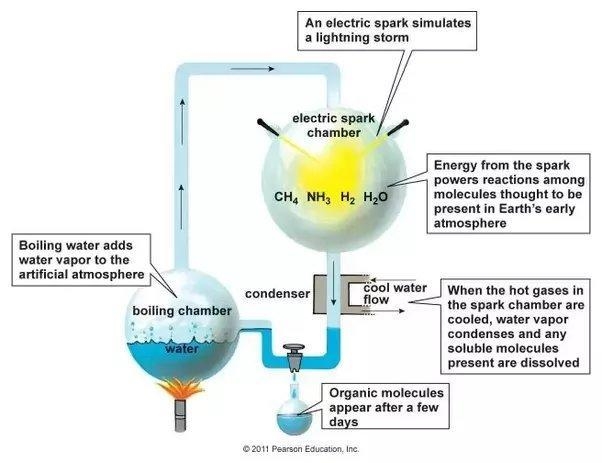 Summarize theories of how life began on Earth-example-4