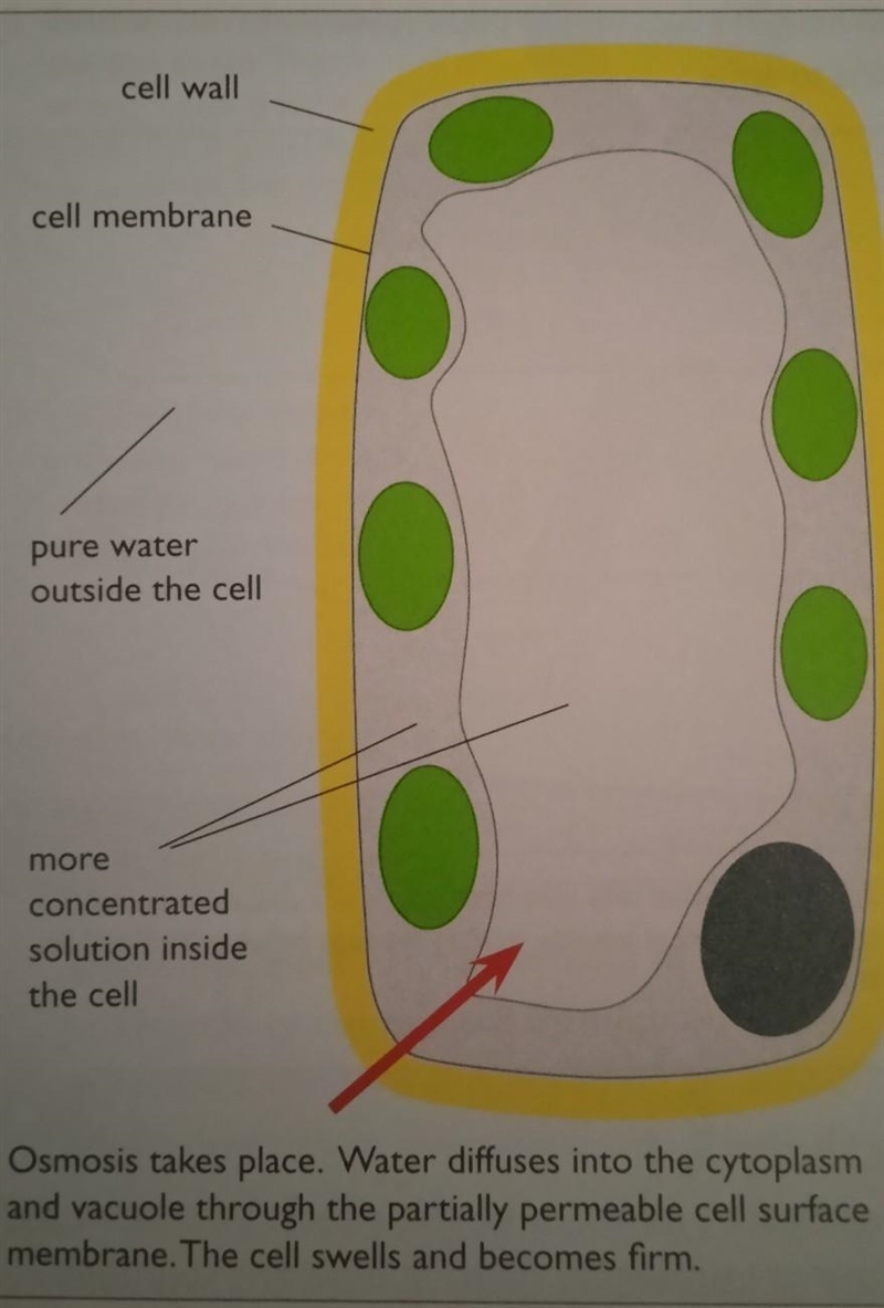 Answer the following question:​-example-1