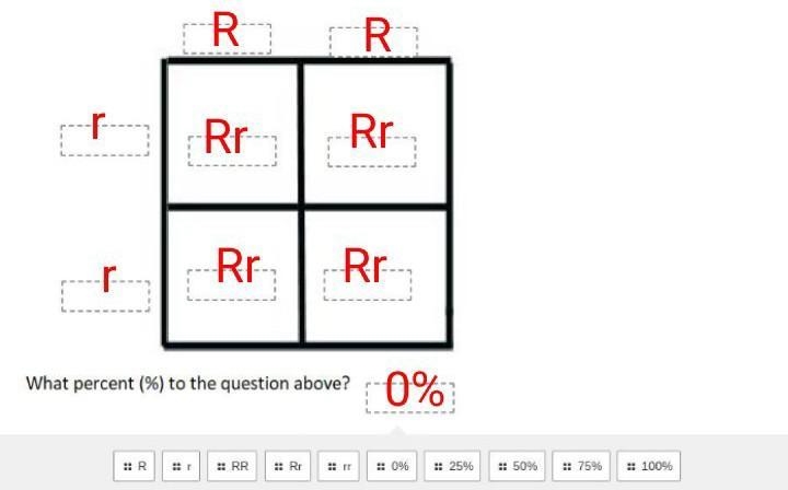 Complete the punnet square-example-1