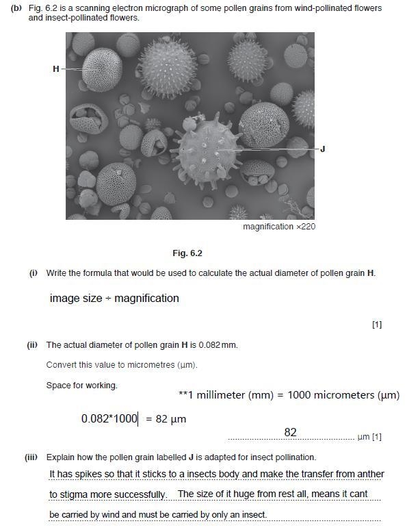 Can someone please help me-example-1