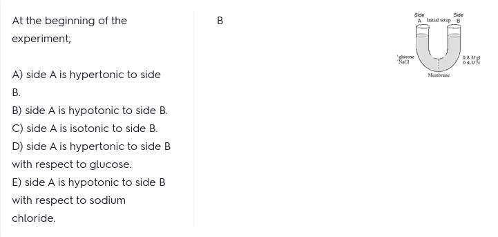 At the END of the experiment, a. side A is hypertonic to side B. b. side A is hypotonic-example-1