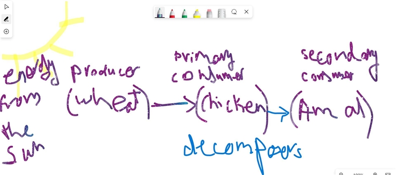 The chicken that Amal ate for lunch ate wheat. Wheat is a plant. Draw a food chain-example-1