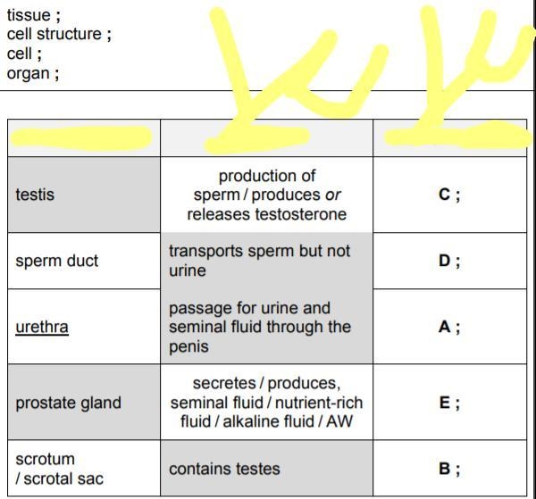 Can someone please help me-example-1