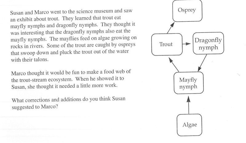 Can someone plss help me with this!!!-example-1