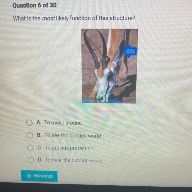 What is the most likely function of this structure? A. To move around B. To see the-example-1