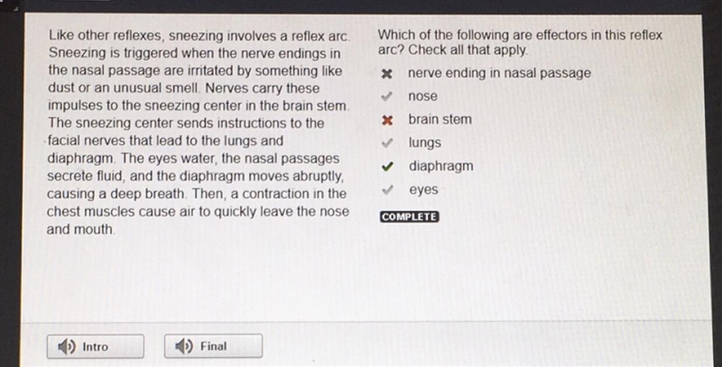 (HERE IS THE ANSWER) Which of the following are effectors in this reflex arc? Check-example-1